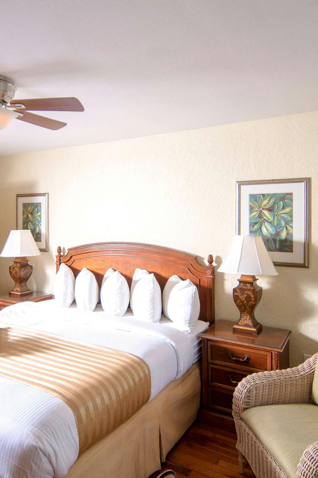 Hollander Hotel Tampa Bay Beach Cities St Petersburg