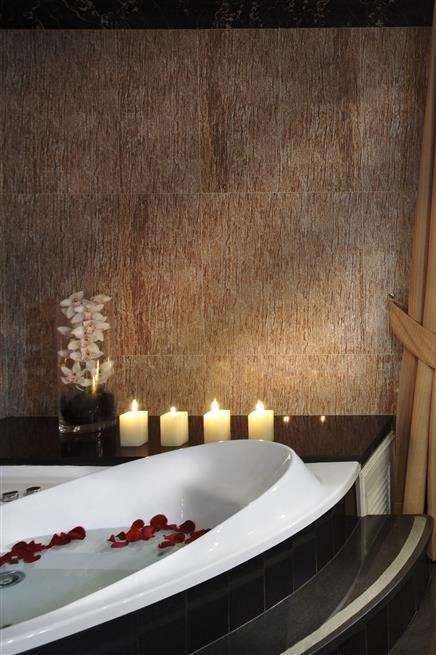 Hotel Hotel Fenix Gran Melia photo 4