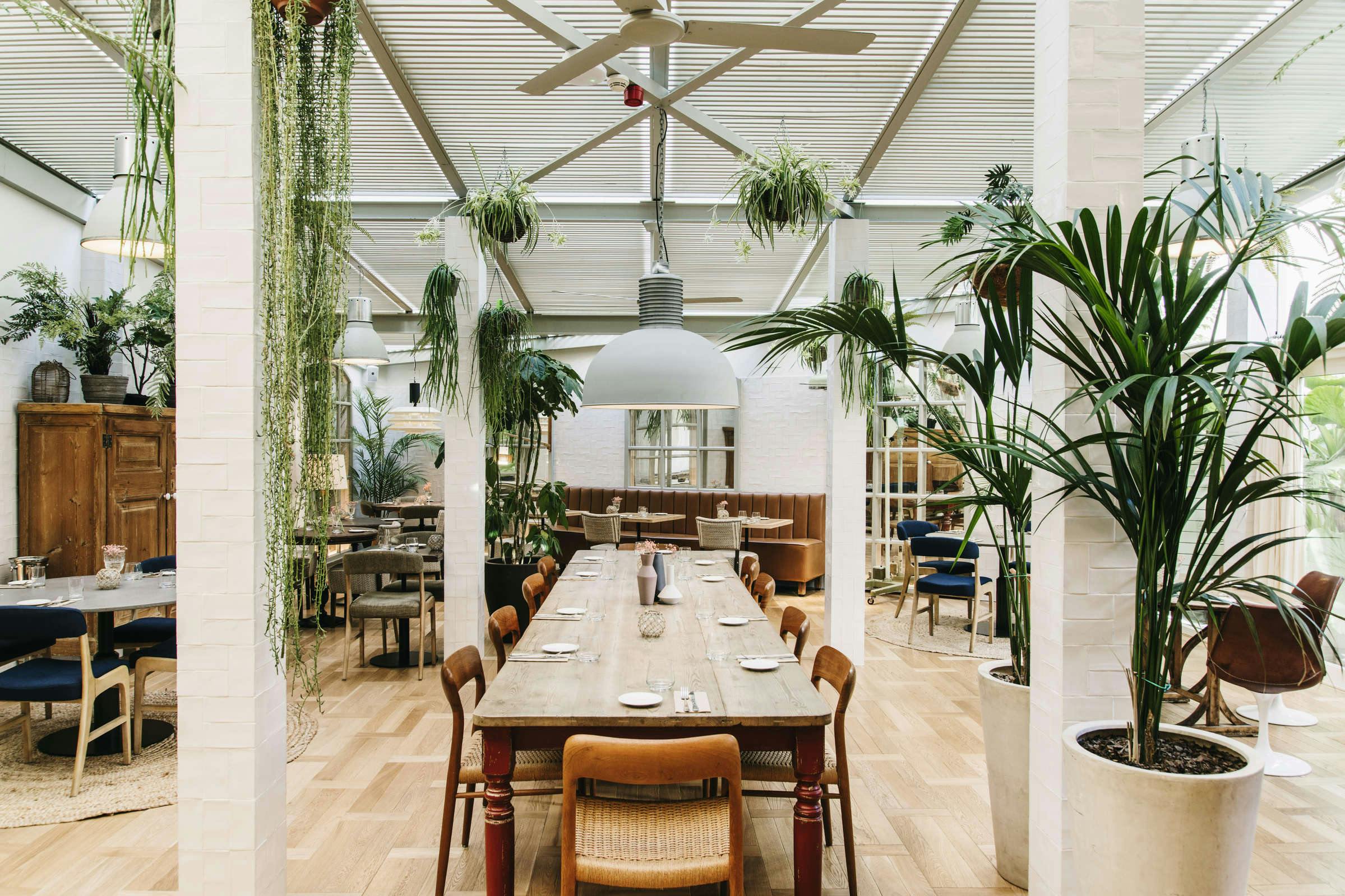 Hotel Pulitzer Barcelona