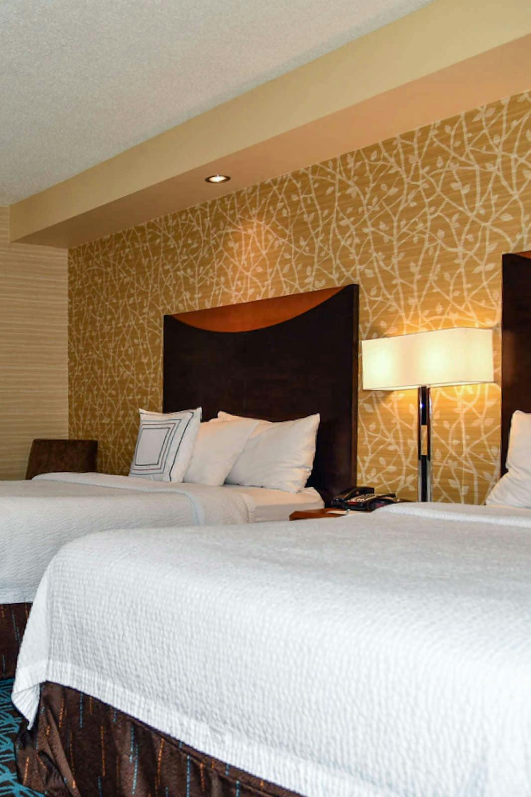 Hotel Fairfield Inn & Suites Hartford Airport photo 3