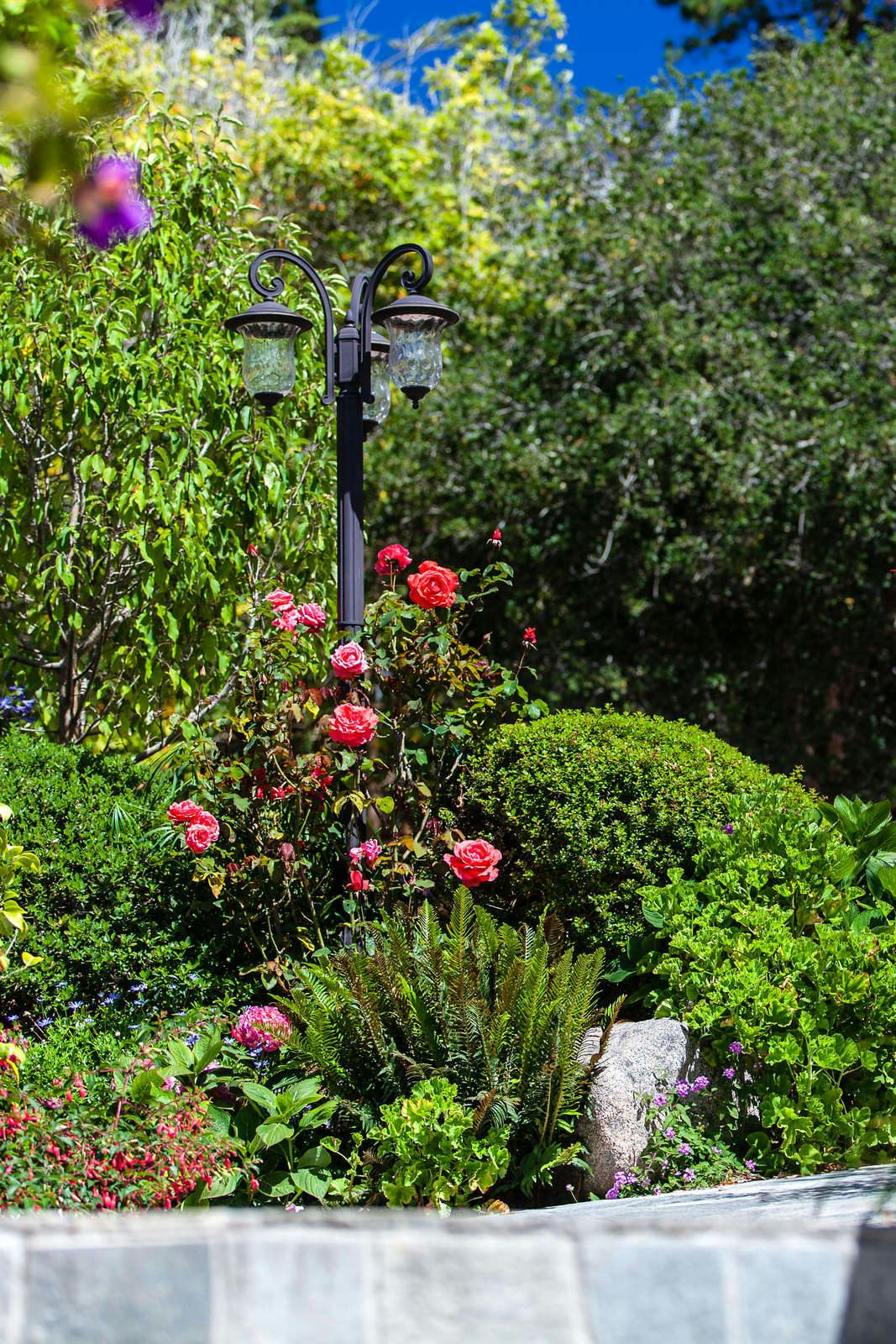 Hotel Vendange Carmel Inn & Suites photo 4