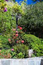 Hotel Vendange Carmel Inn & Suites photo 4