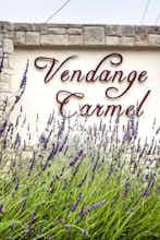 Hotel Vendange Carmel Inn & Suites photo 5