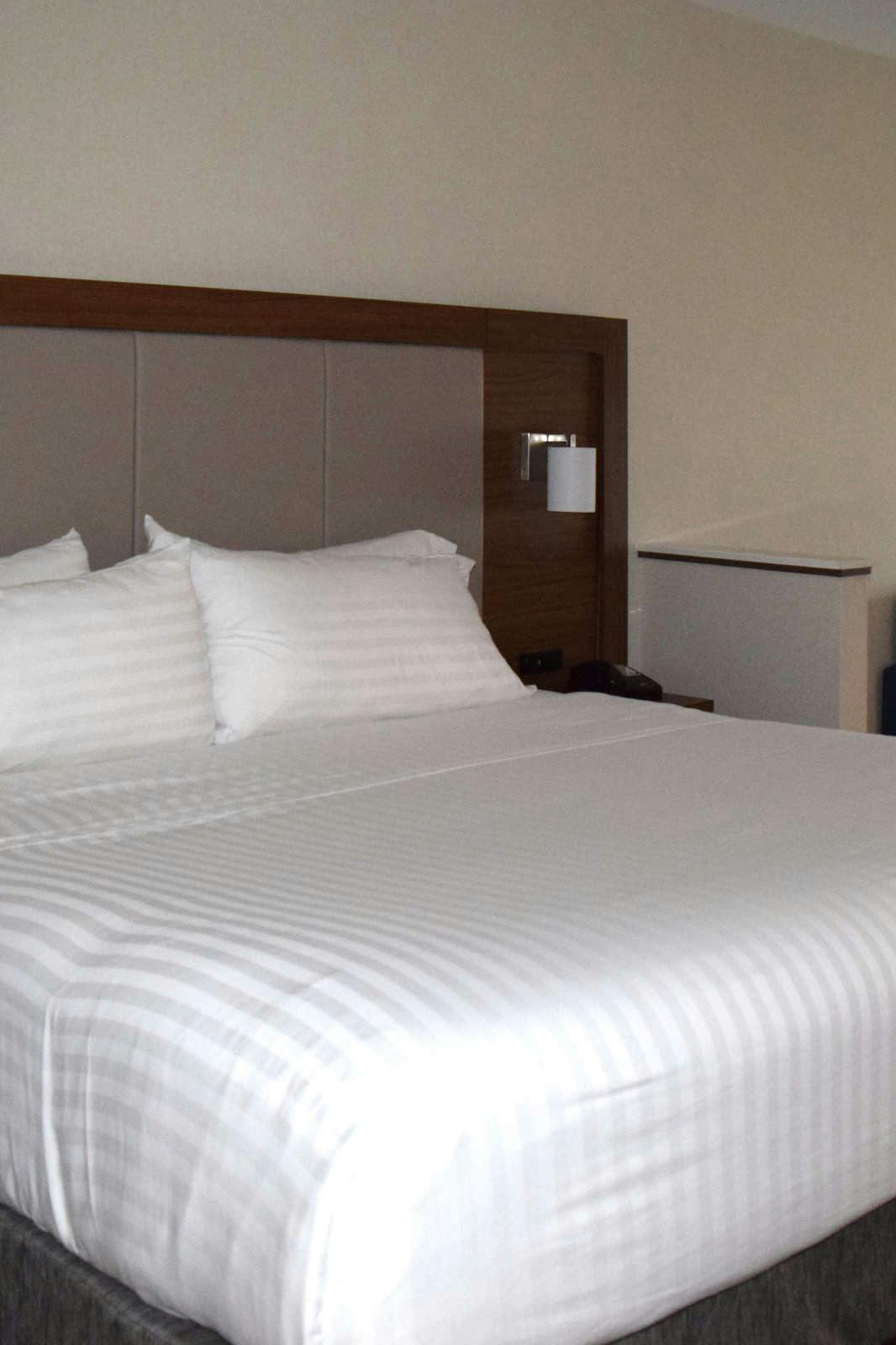 Hotel Holiday Inn Express & Suites Ithaca photo 2