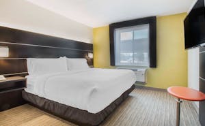 Holiday Inn Express & Suites Albany Airport Wolf Road