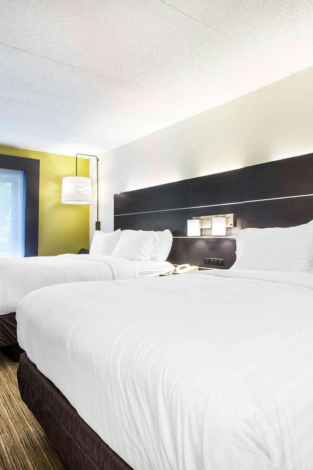 Hotel Holiday Inn Express & Suites Albany photo 3