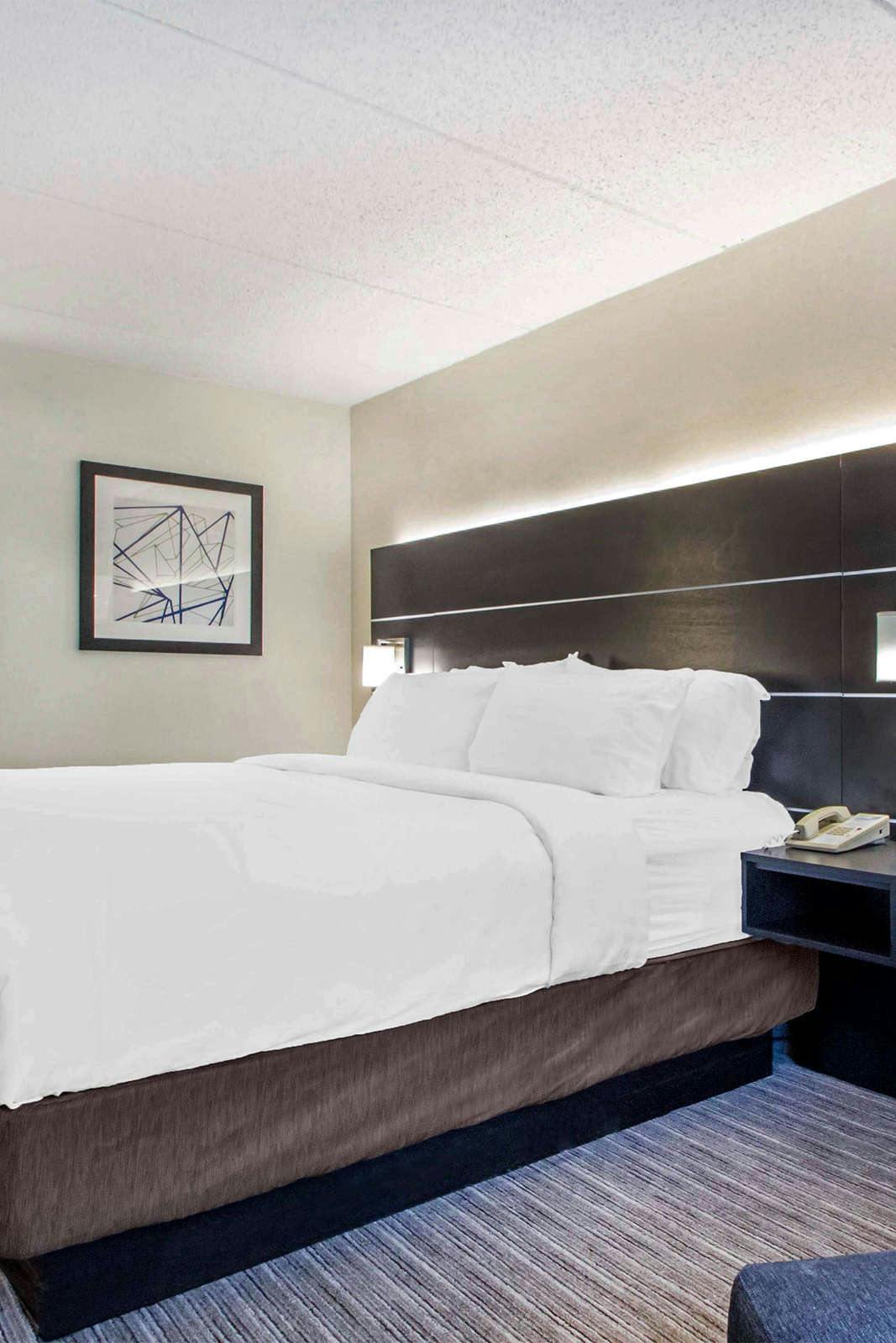 Hotel Holiday Inn Express & Suites Albany photo 5