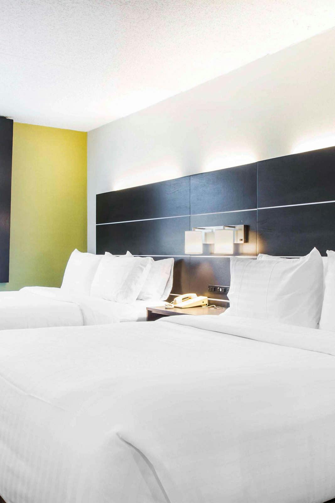 Hotel Holiday Inn Express & Suites Albany photo 2