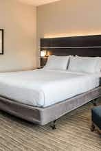 Hotel Holiday Inn Express & Suites Tampa North Wesley Chapel photo 2