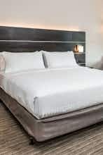 Hotel Holiday Inn Express & Suites Tampa North Wesley Chapel photo 1
