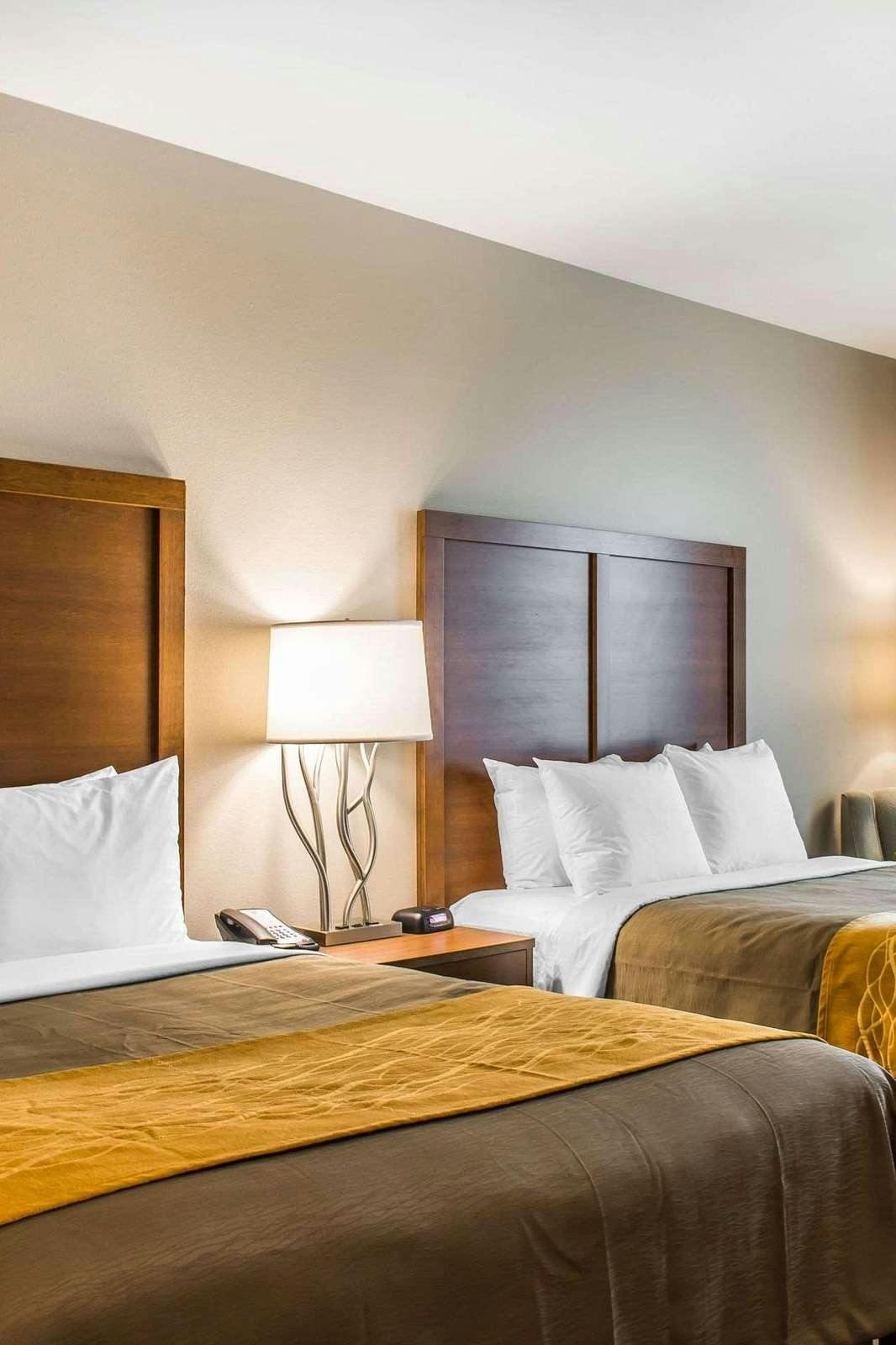 Hotel Comfort Inn & Suites Valdosta I-75 photo 3