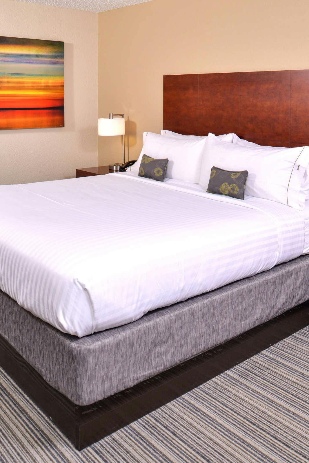 Hotel Holiday Inn Express Rochester - University Area photo 3