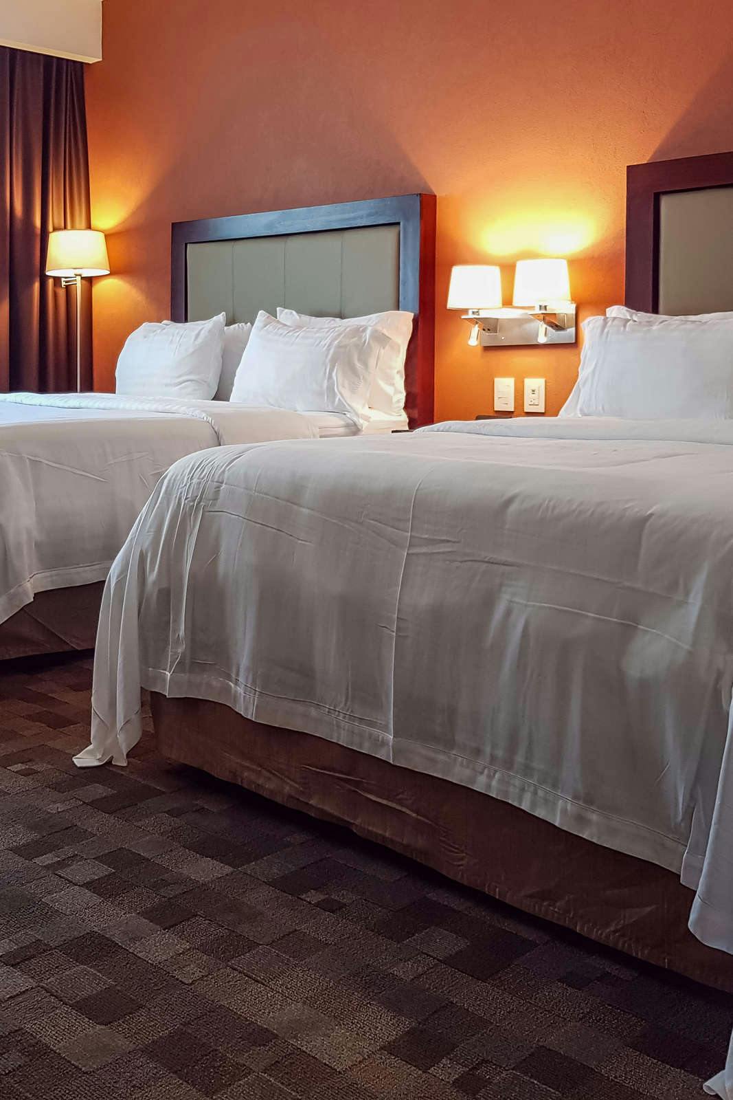 Hotel Holiday Inn & Suites Leon Plaza Mayor photo 2