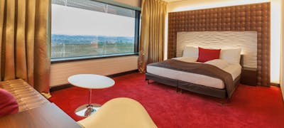 Airport Hotel Basel