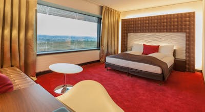 Airport Hotel Basel