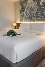Hotel B Ocean Resort Fort Lauderdale Beach photo 3