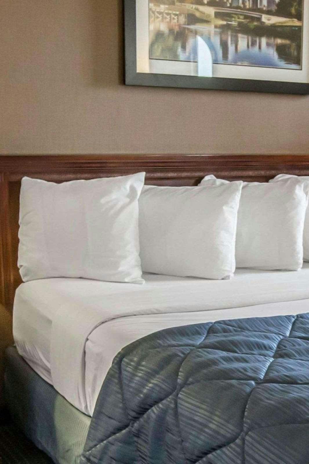 Hotel Quality Inn Schaumburg - Chicago near the Mall photo 1