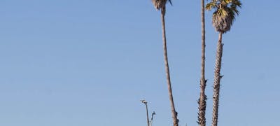 Beach Street Inn and Suites