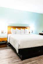 Hotel SPOT X Hotel Orlando/Intl Dr by The Red Collection photo 1