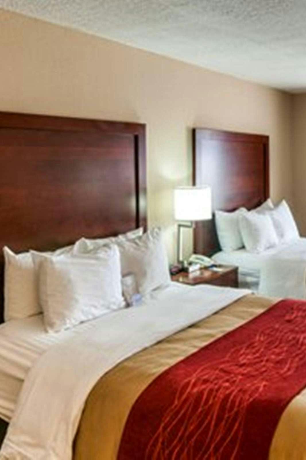 Hotel Comfort Inn Albuquerque Airport photo 3