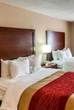 Hotel Comfort Inn Albuquerque Airport photo 3