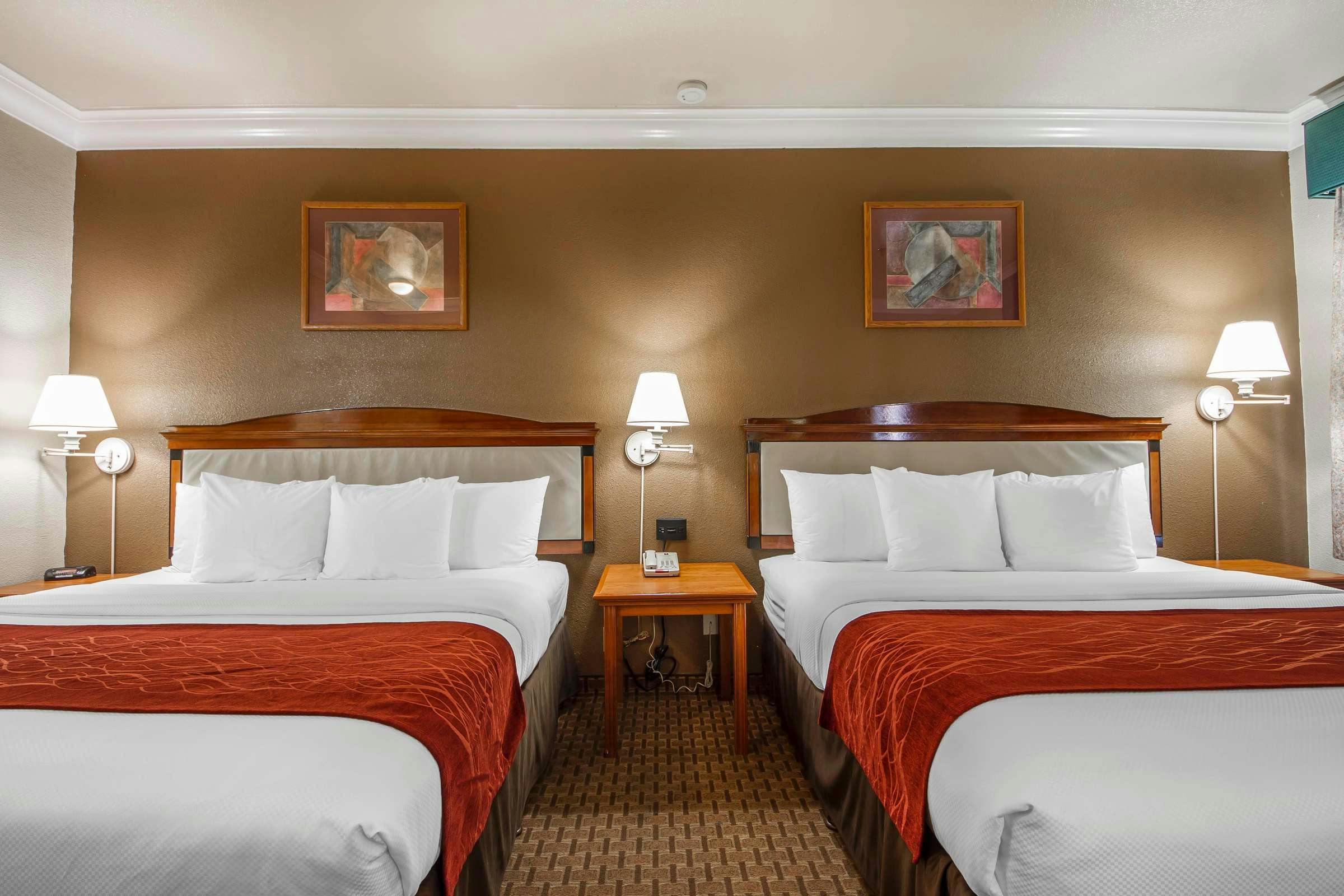 Hotel Comfort Inn and Suites San Francisco Airport North photo 3