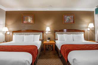 Hotel Comfort Inn and Suites San Francisco Airport North photo 3