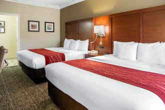 Hotel Comfort Inn and Suites San Francisco Airport North photo 4