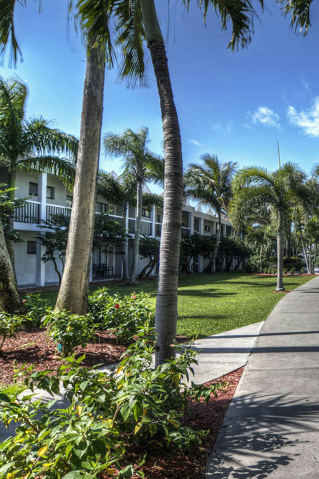 Beachcomber Beach Resort, St. Pete Beach - HotelTonight