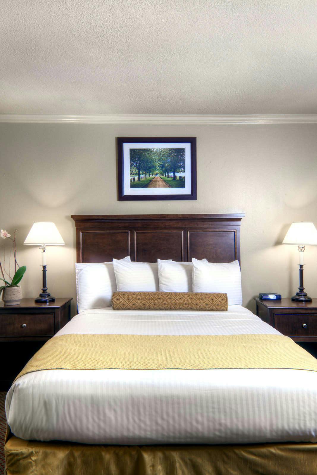 Hotel University Park Inn and Suites photo 2