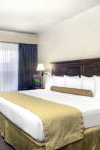 Hotel University Park Inn and Suites photo 1