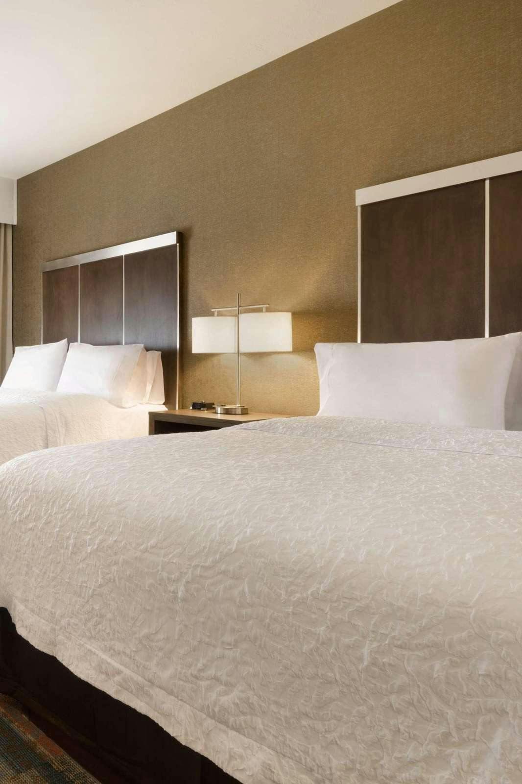 Hotel Hampton Inn By Hilton Elko Nevada photo 2