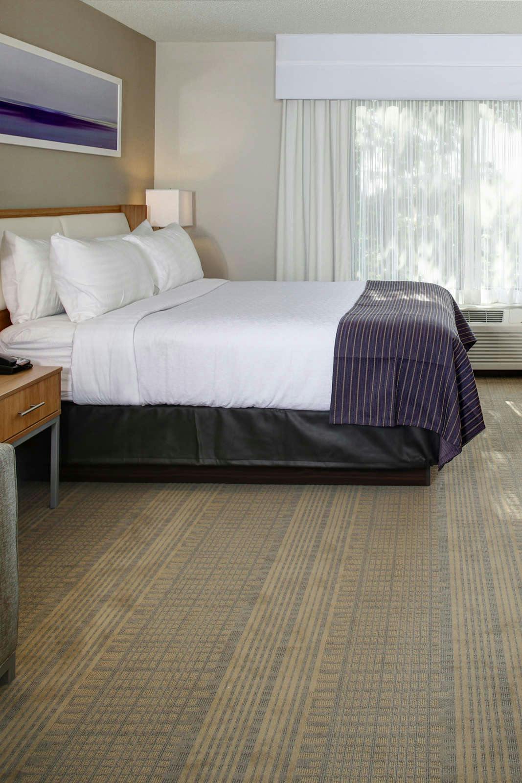 Hotel Holiday Inn Franklin - Cool Springs photo 1