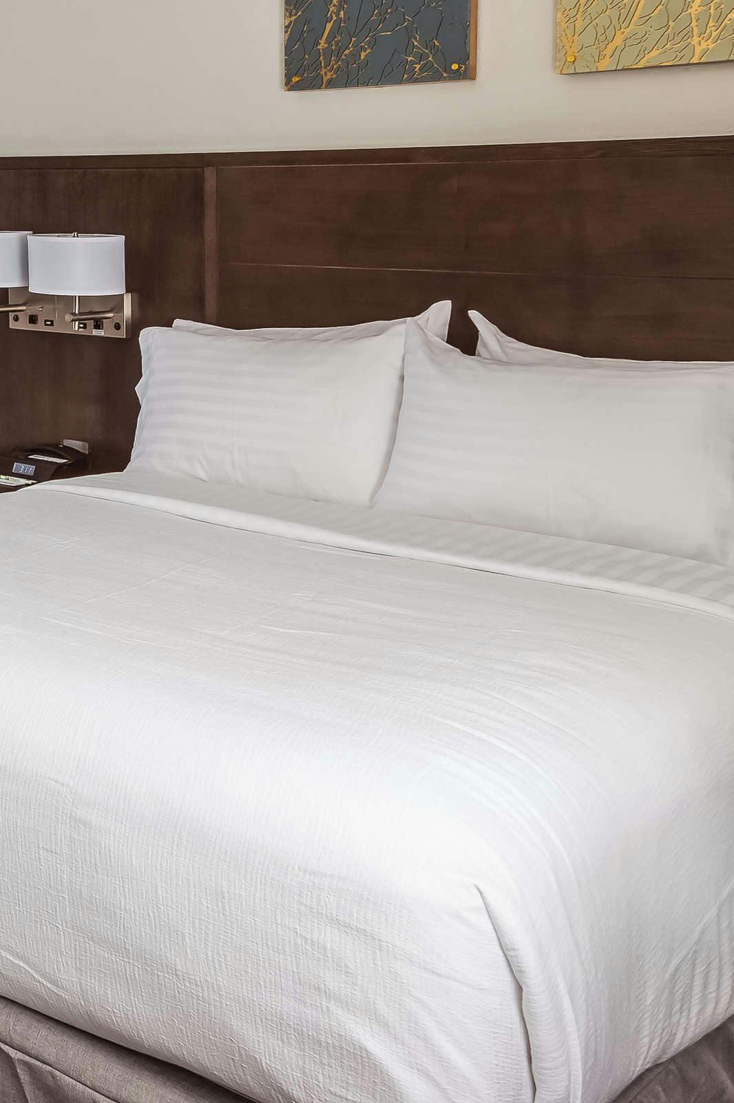 Hotel Holiday Inn Alexandria - Downtown photo 3