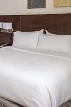 Hotel Holiday Inn Alexandria - Downtown photo 3