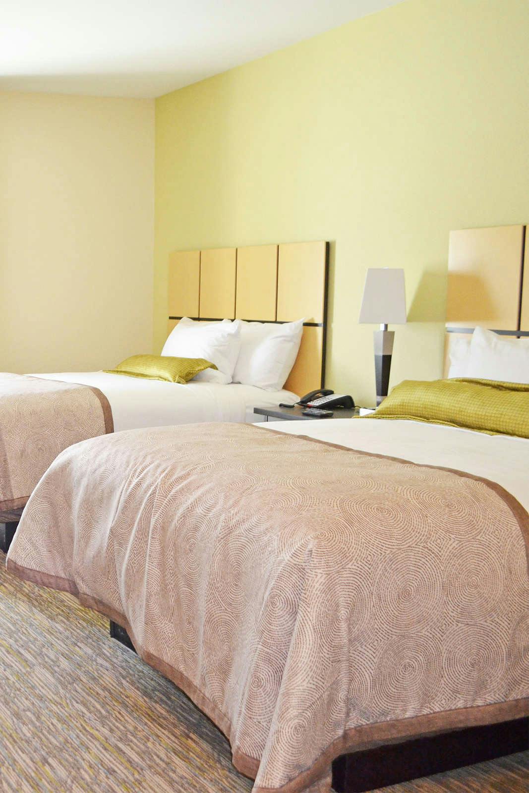 Hotel Candlewood Suites San Antonio Airport photo 3