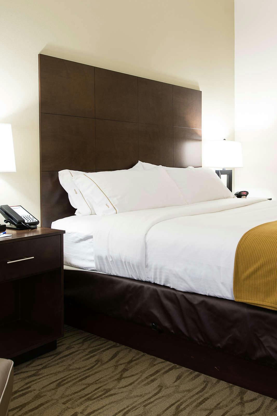 Hotel Holiday Inn Express & Suites Aiken photo 1