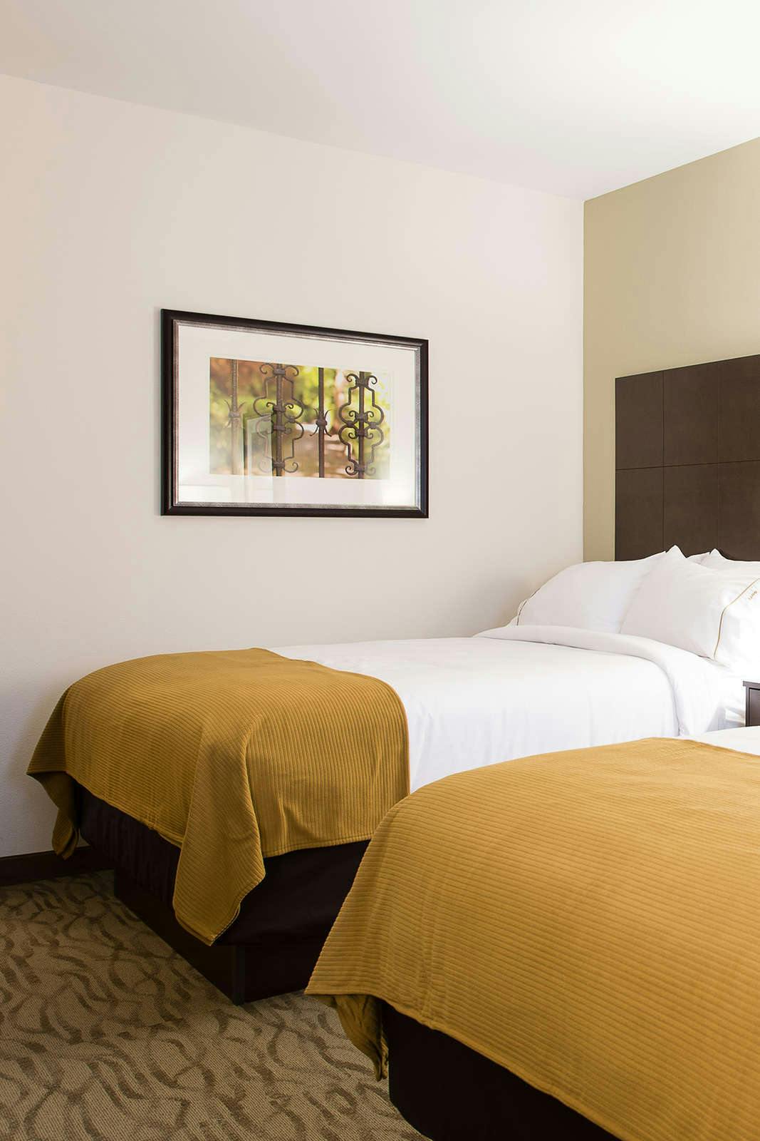 Hotel Holiday Inn Express & Suites Aiken photo 5