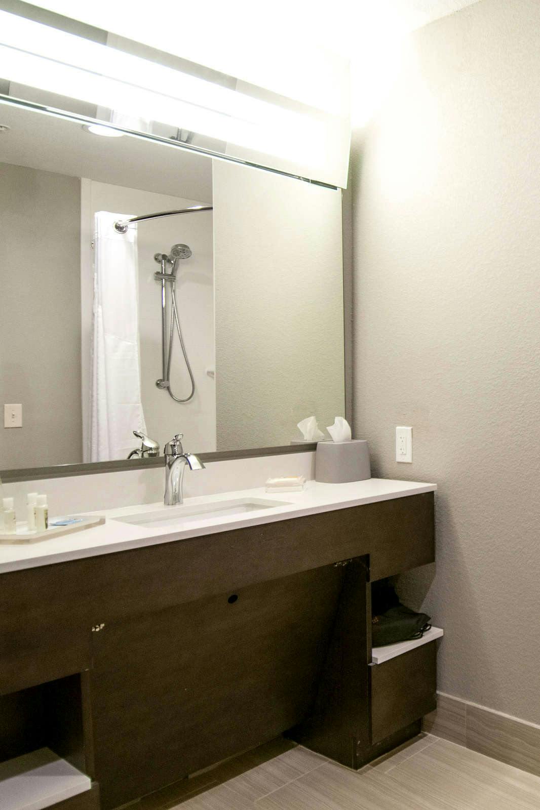 Hotel Holiday Inn New Orleans Airport North photo 5