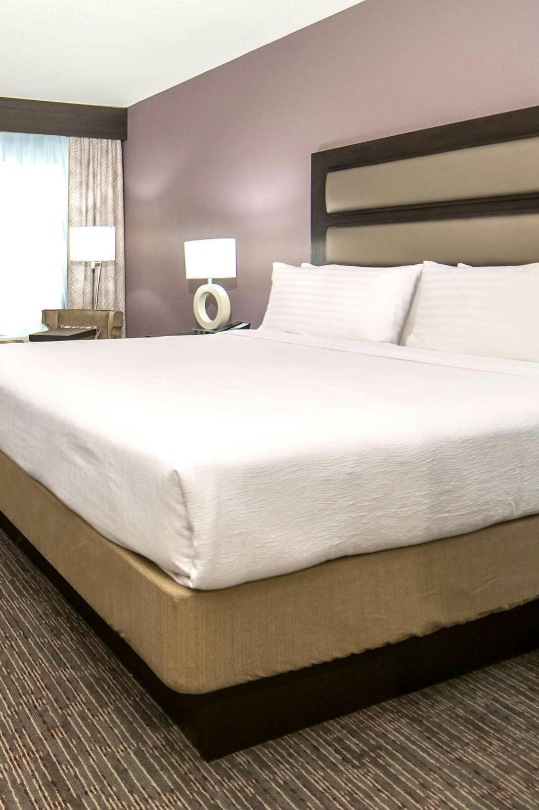 Hotel Holiday Inn New Orleans Airport North photo 2