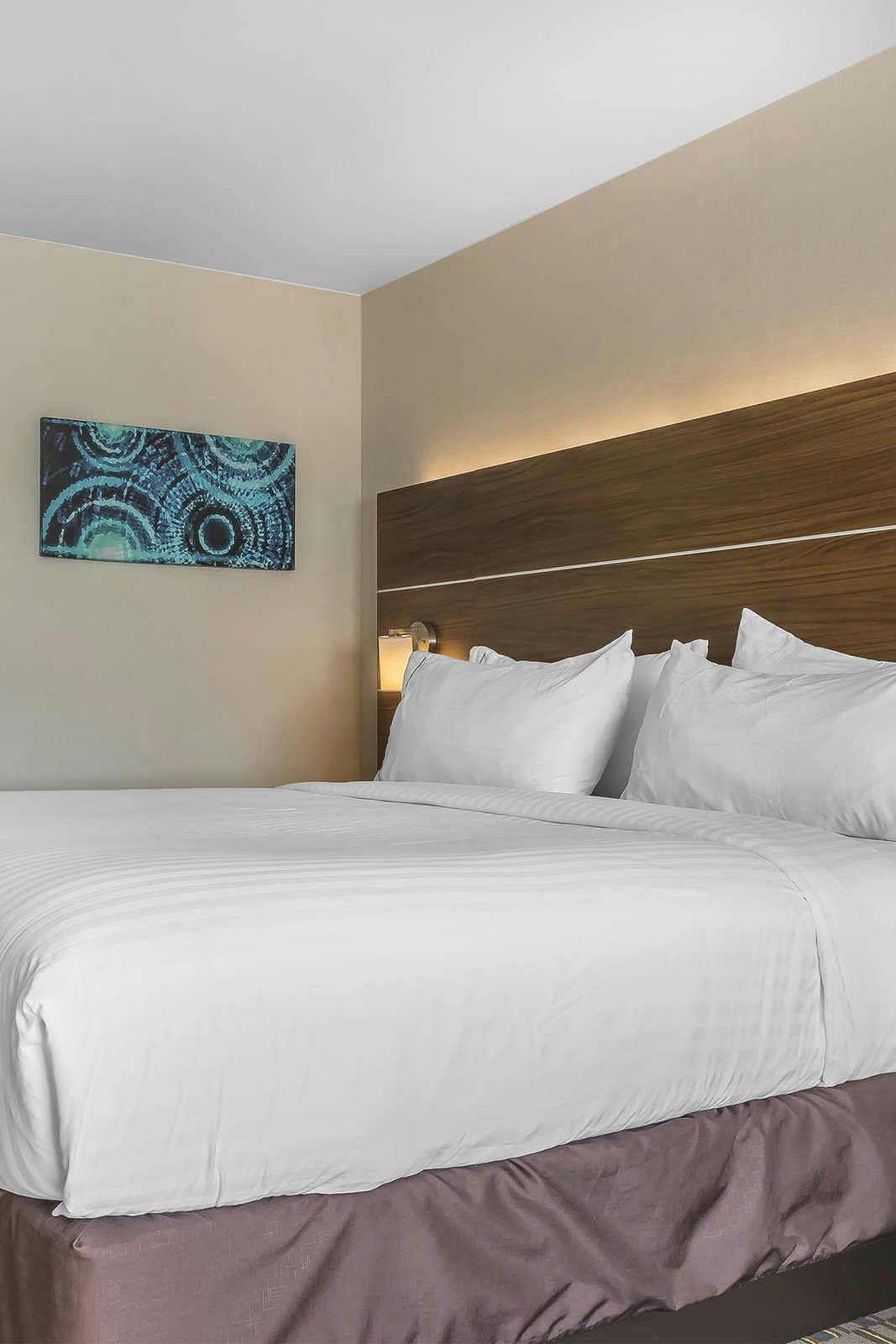 Hotel Holiday Inn Express & Suites Clarion photo 3