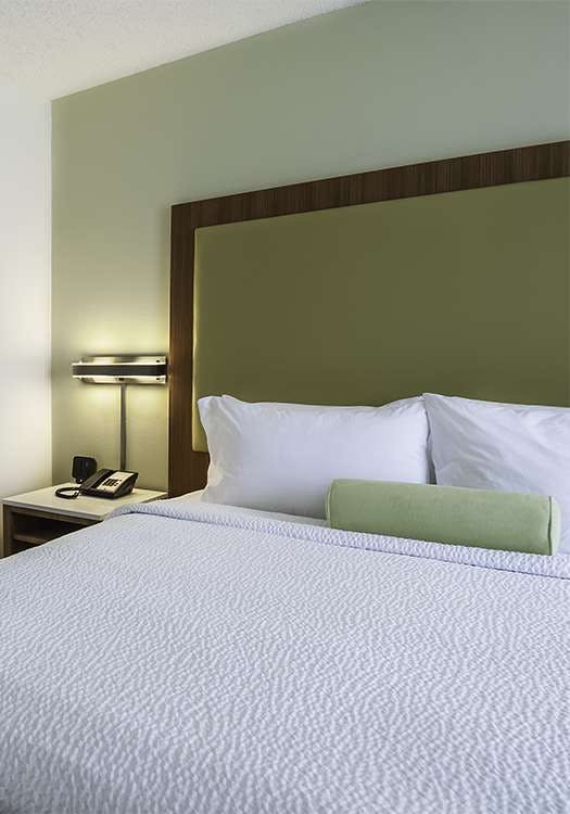 Hotel SpringHill Suites Baton Rouge/South photo 4