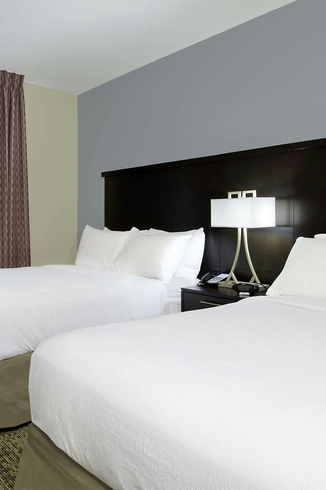 Hotel Staybridge Suites Houston - Medical Center photo 2