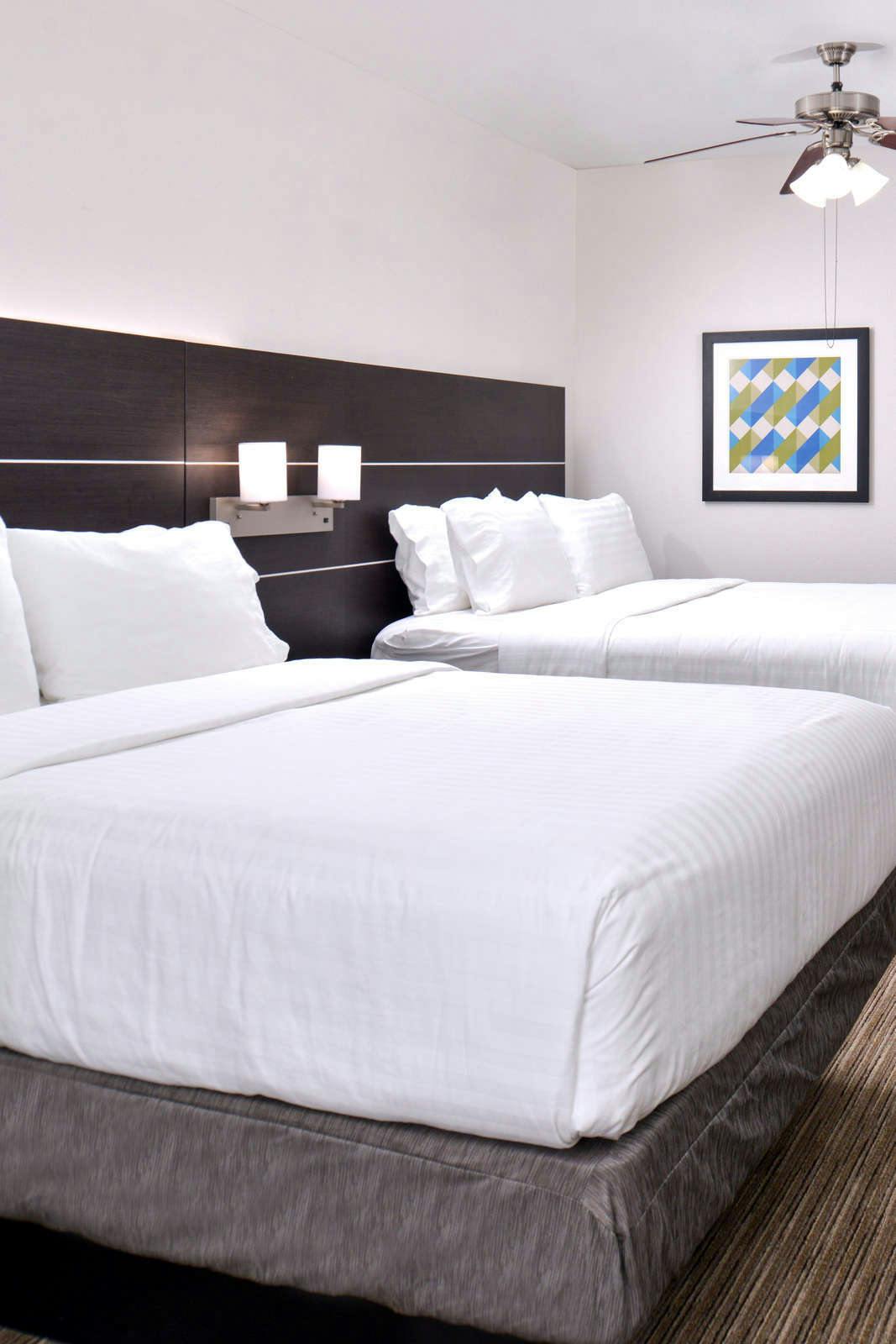 Hotel Holiday Inn Express & Suites Corpus Christi - N Padre Island photo 5