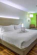 Hotel Holiday Inn Express & Suites Raymondville photo 4