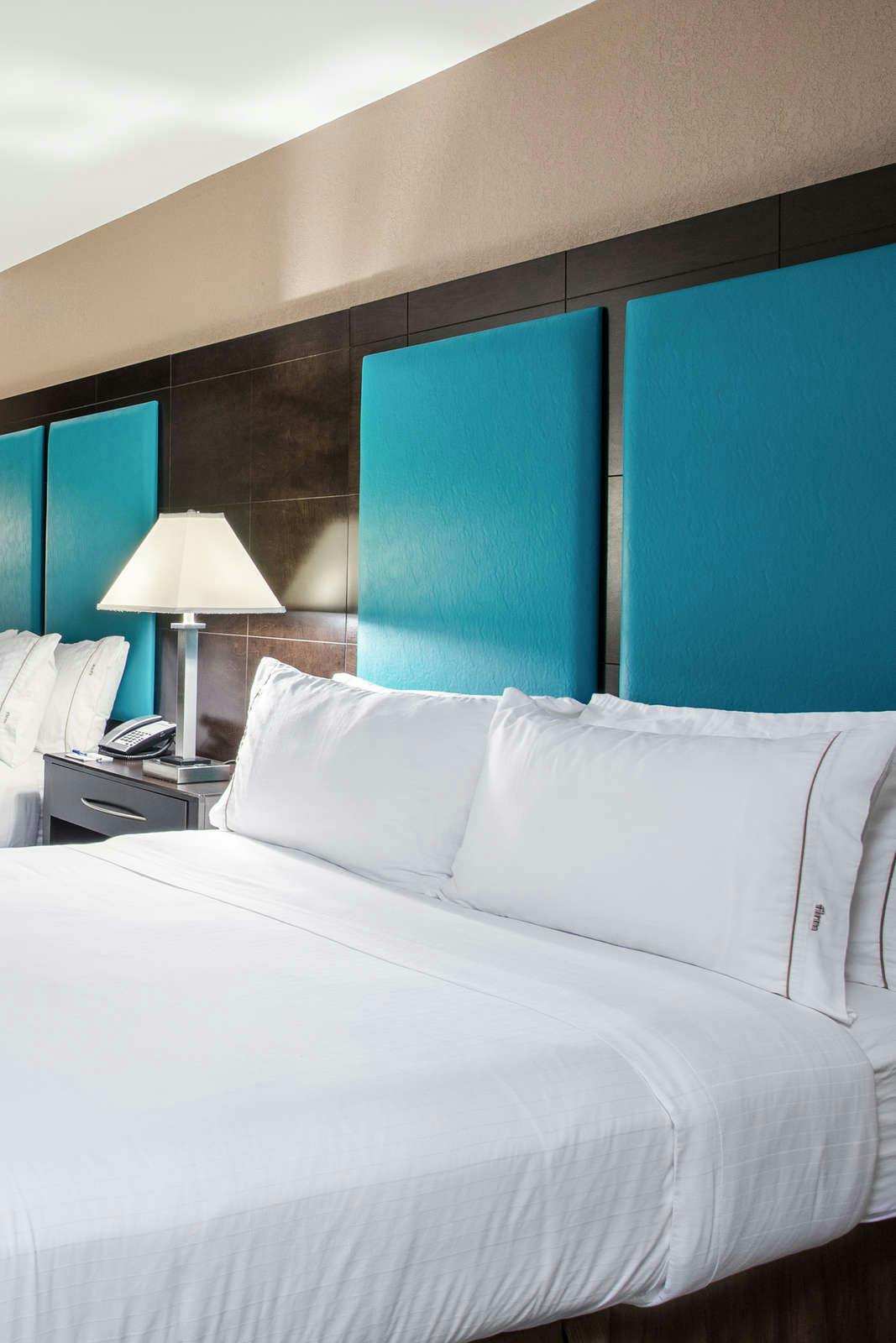 Hotel Holiday Inn Express & Suites Wyomissing photo 3