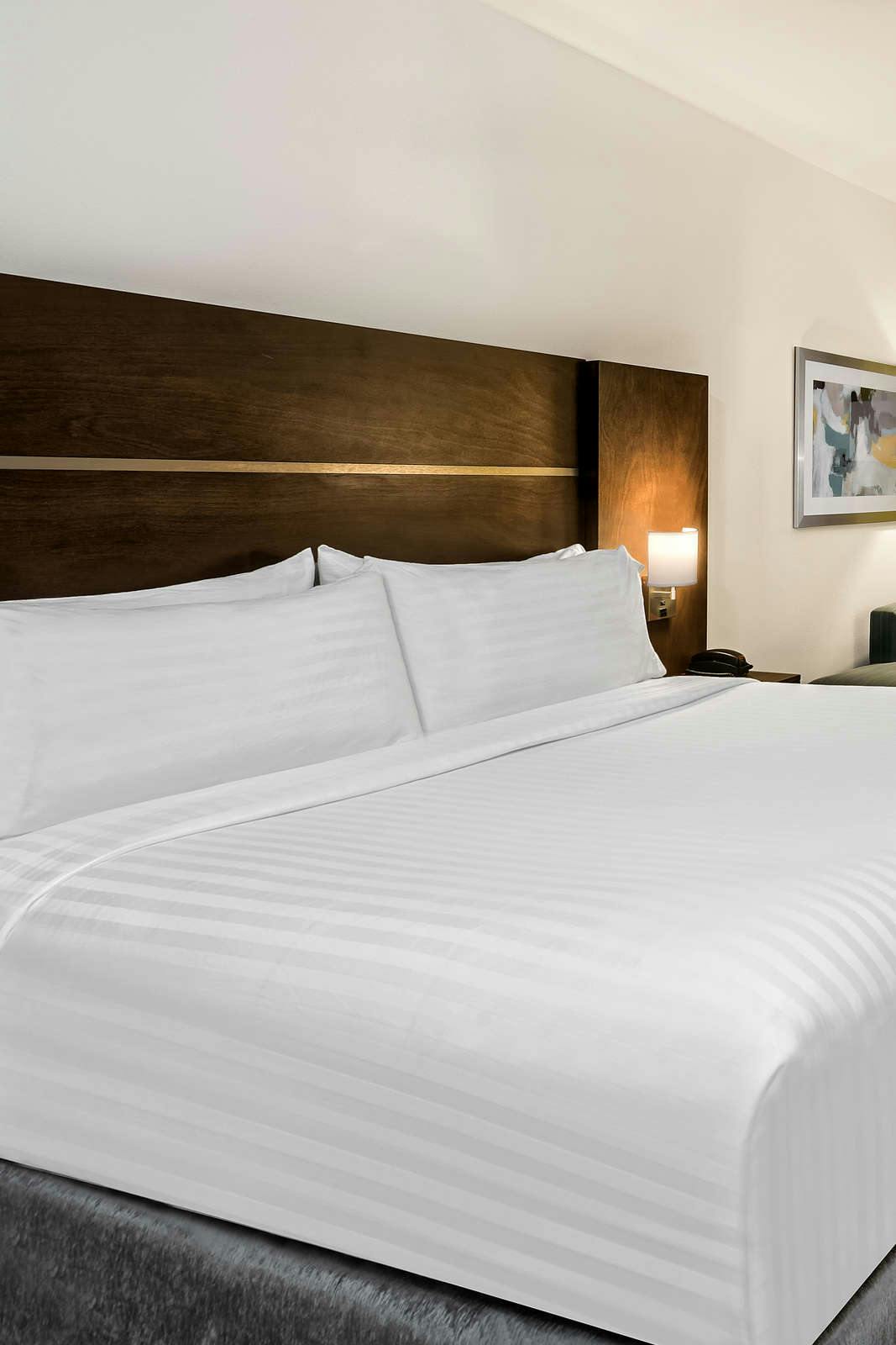 Hotel Holiday Inn Express & Suites Round Rock Austin N photo 3