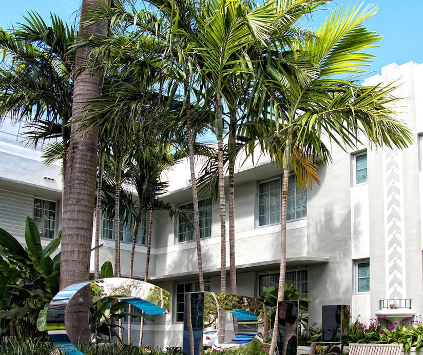 Sbh South Beach Hotel Miami Hoteltonight Sbh South Beach Hotel