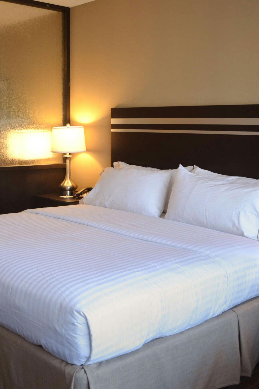 Hotel Holiday Inn Express & Suites Golden - Denver Area photo 1