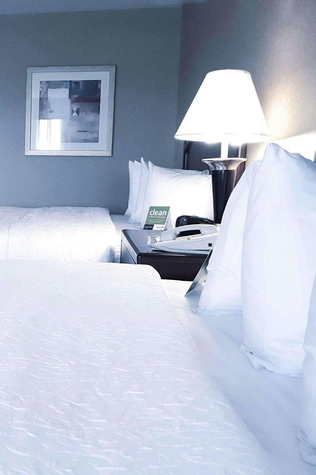 Hotel Hampton Inn And Suites Edmonton International Airport photo 2